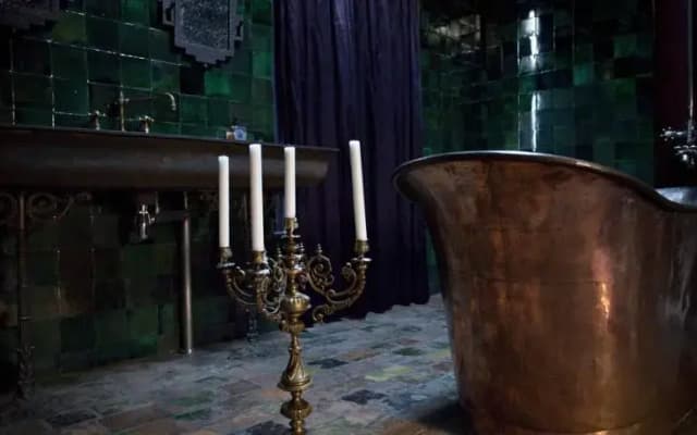 the Mayer Manor - photo 4