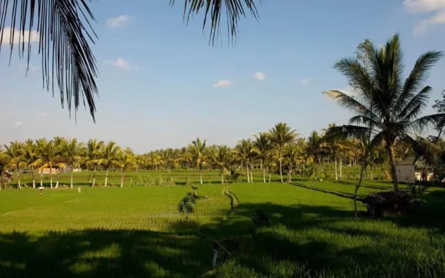 Puri Bebengan Bungalow - photo 4