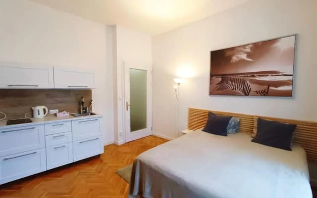 Apartmen -Studio - photo 2