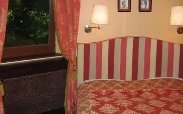 Hotel Vadvirg Panzi - photo 4