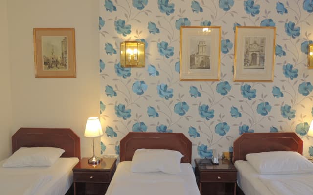 Dolphin Hotel - photo 5