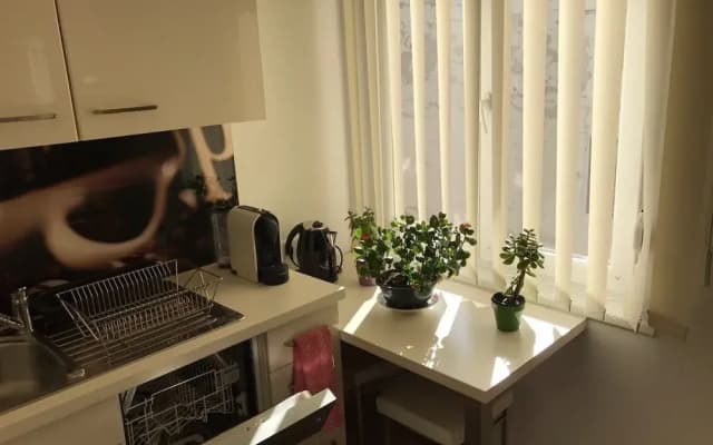 Apartment 1010 - photo 4