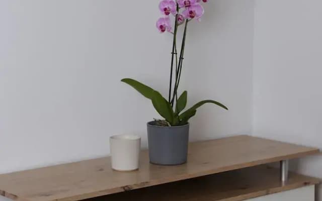 Urban Stay Apartments Vienna - photo 5