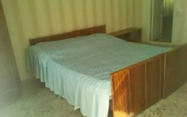 surami - photo 2