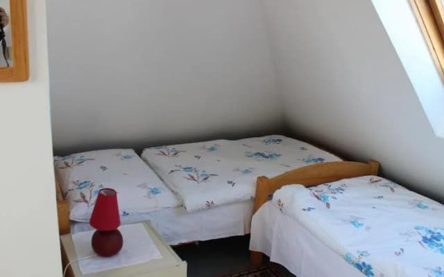 Pension Hanspaulka - photo 4