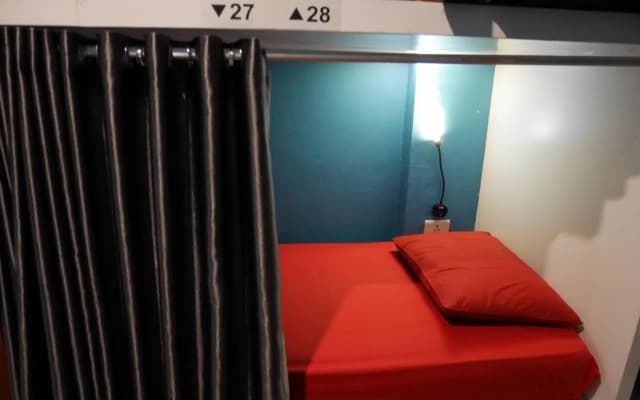 Sleepy Raccoon Hostel - photo 5