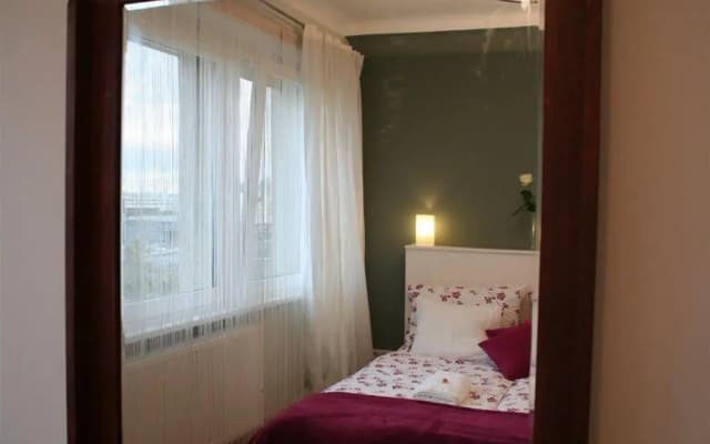 Blue Danube Apartments - photo 4