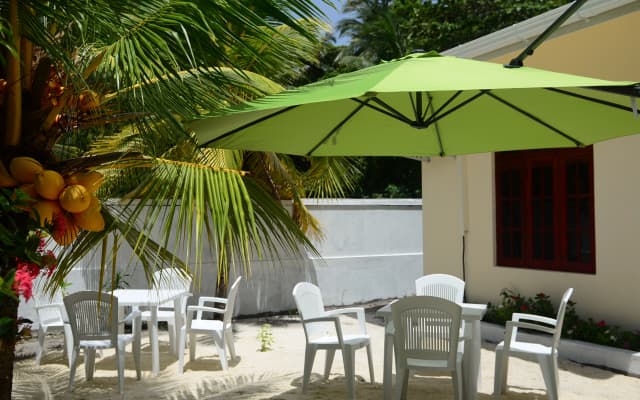 Maclura Residence Guest House - photo 5