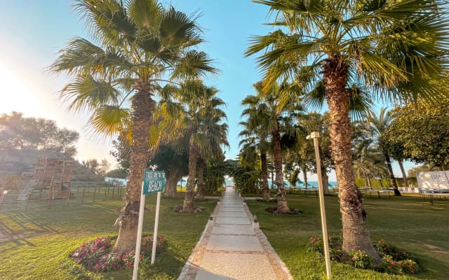 BM Beach Hotel - photo 4