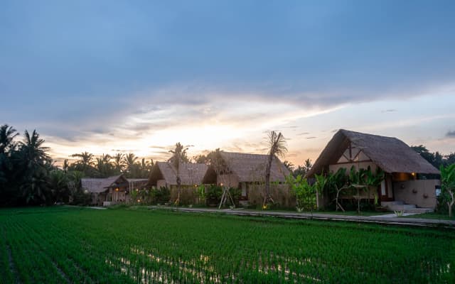 Pondok Mawas Hotel - photo 3