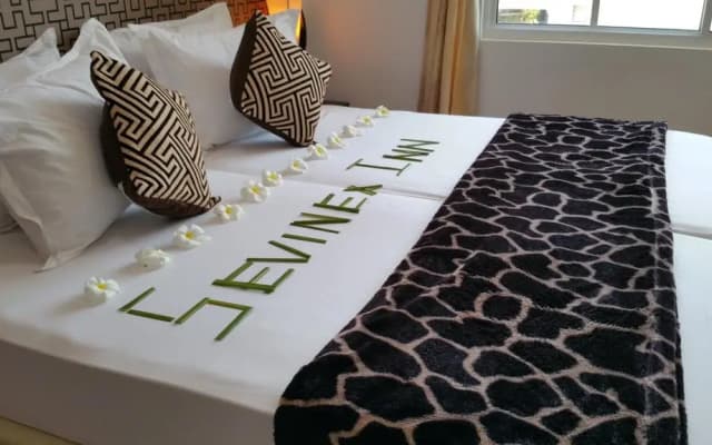 Sevinex Maldives Guest House - photo 2