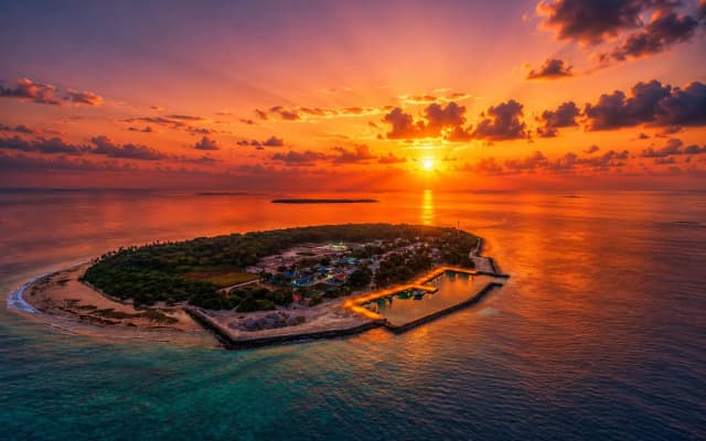 Bon Abri Maldives Guest House - photo 4