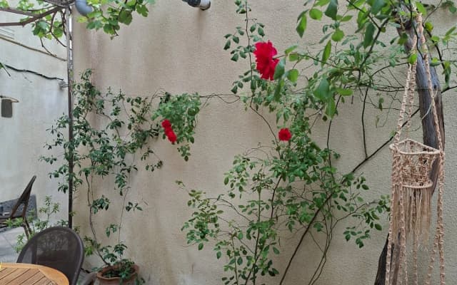 Hotel Eight Boutique hotel - photo 2