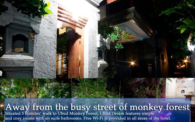 Ubud Dream Guest House - photo 2