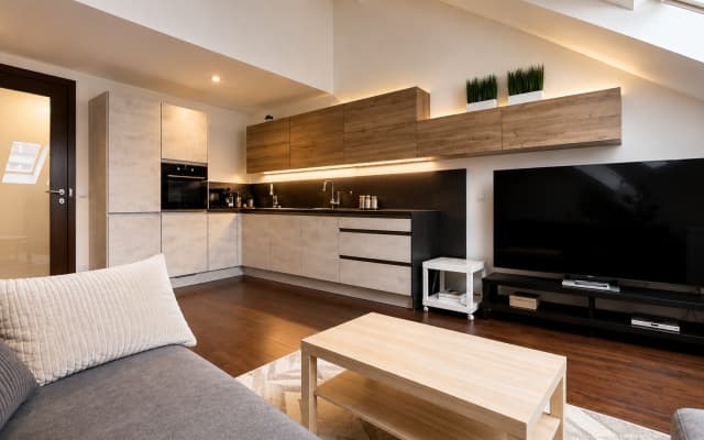 Loft Apartments - photo 3