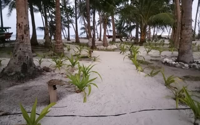 Island Luxury Boutique Hotel, Fulhadhoo - photo 4