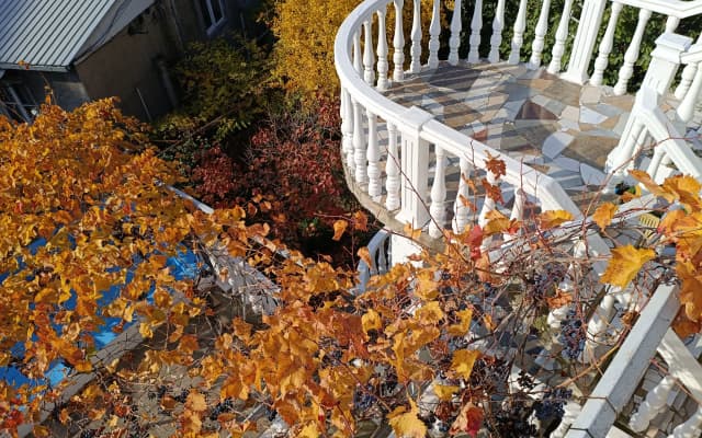 Eco-friendly Why Me Tbilisi Guest House - photo 2