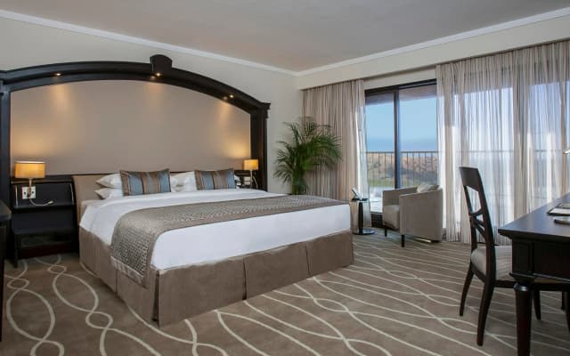 Danat Al Ain Resort Hotel - photo 3