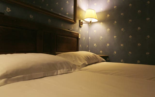 Hôtel du Lys Guest House - photo 3