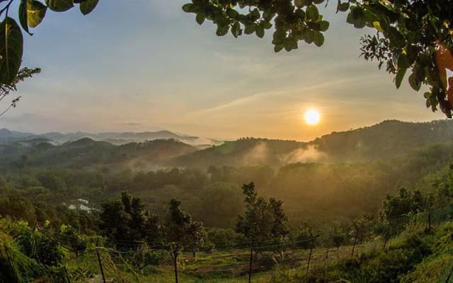 The Orchard Wellness & Health Resort Hotel - photo 2