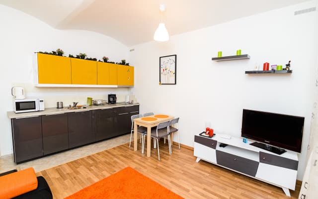 Lower Ground Floor Prague Apartments - photo 5