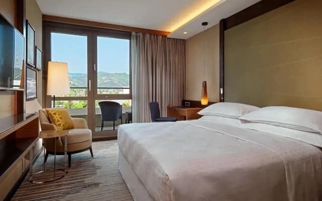 Sheraton Grand Tbilisi Metechi Palace Hotel - photo 5