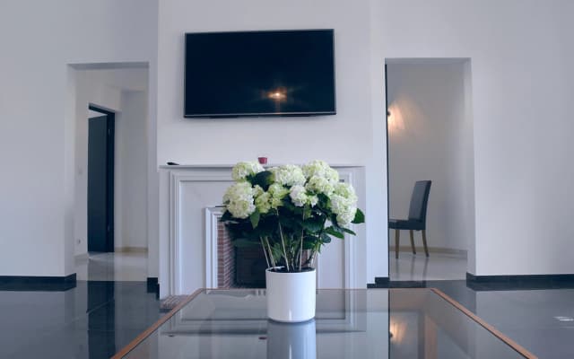 Spacious Flat Near Arc De Triomphe Apartments - photo 4