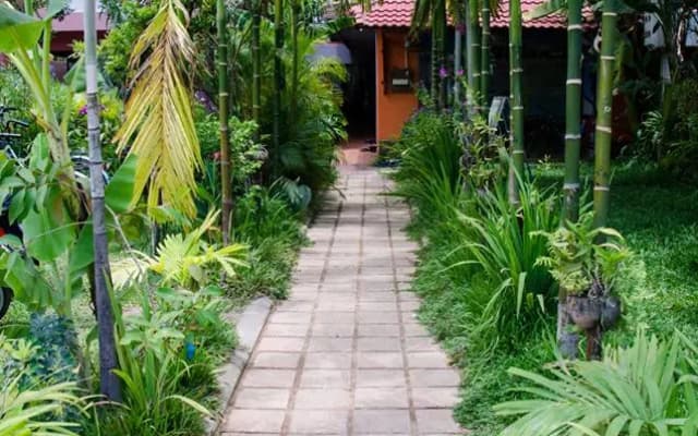 Jasmine Lodge Mini-Hotel - photo 4