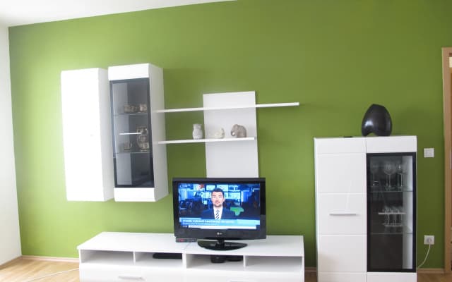 V Doline Apartments - photo 4