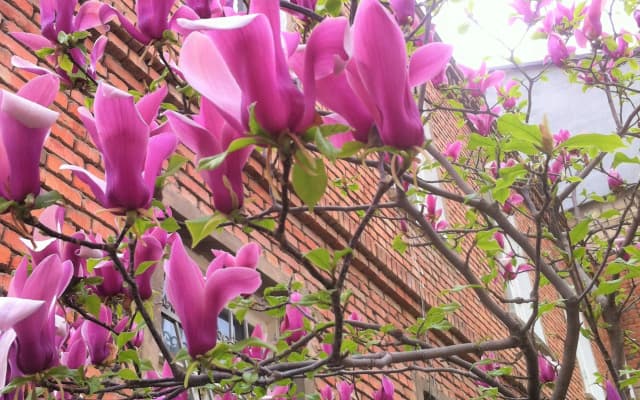 Granat Garden Aprtments - photo 2
