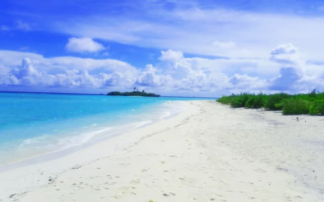 Royal Inn Rasdhoo Guest House - photo 2