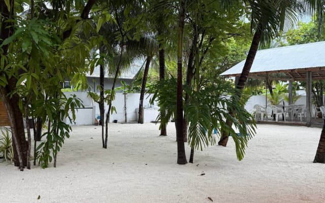 Navaya Dhiffushi Guest house - photo 4
