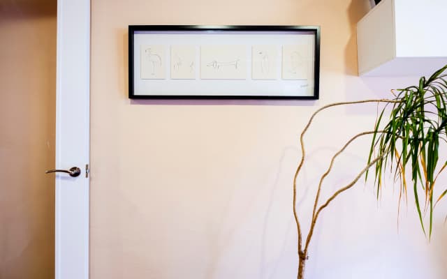 Casucci Apartments - photo 4