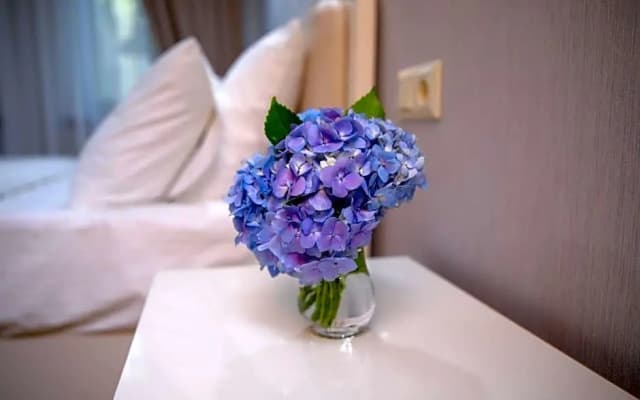 Sama Grand Hotel - photo 3