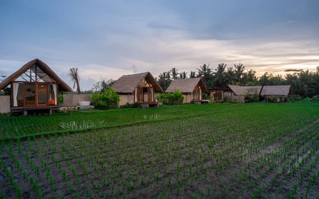 Pondok Mawas Hotel - photo 2