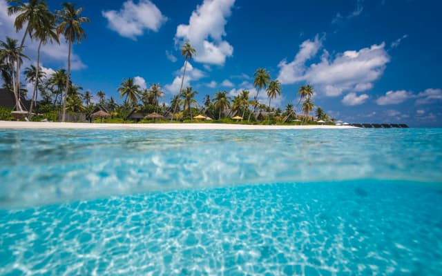Fushifaru Maldives Resort - photo 2