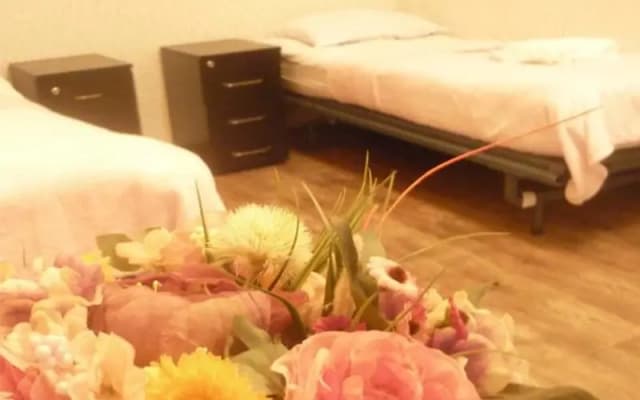 Viatka Guest House - photo 4