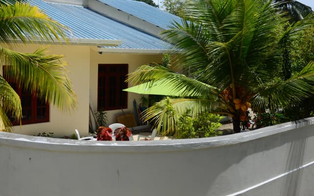 Maclura Residence Guest House - photo 3
