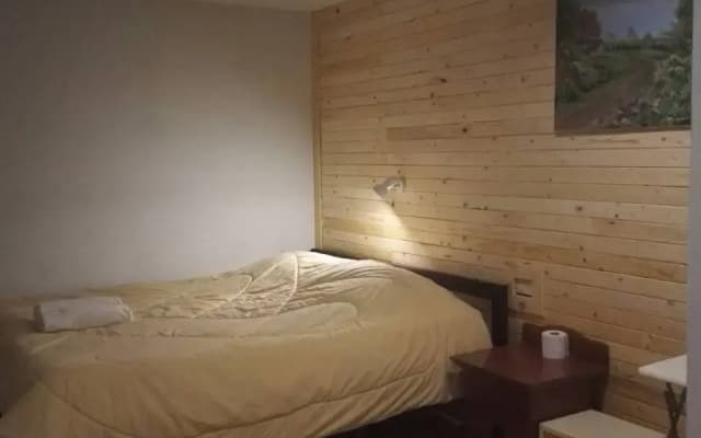 Gotum 2 hotel - photo 4