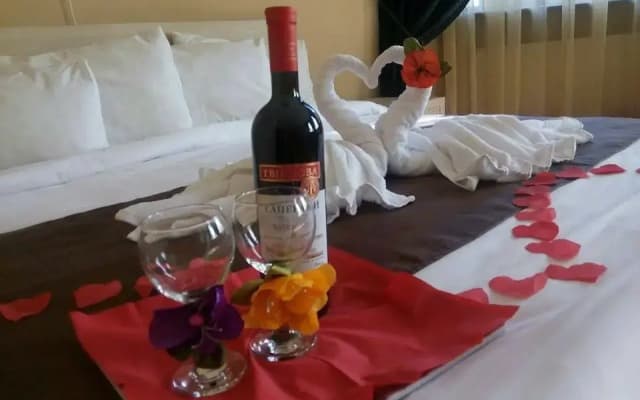 Nitsa Hotel - photo 4