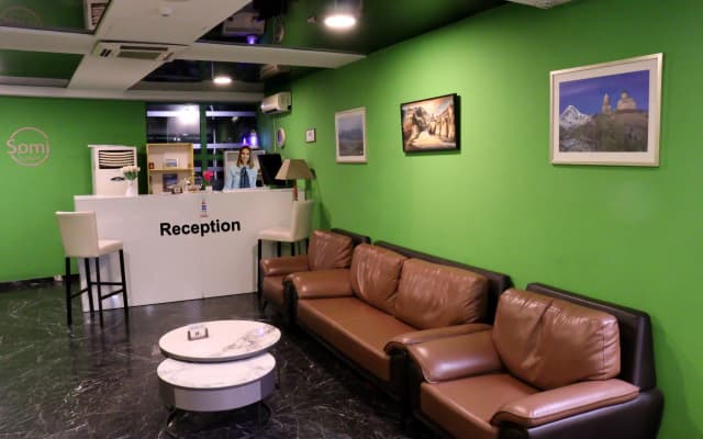 Hotel Somi Inn - photo 3