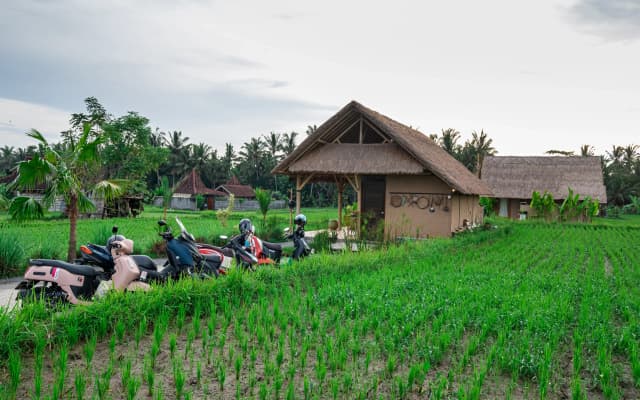 Pondok Mawas Hotel - photo 4