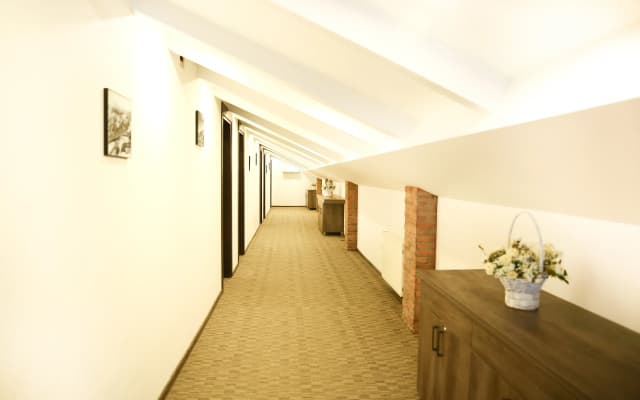 Old Rustaveli Hotel - photo 5