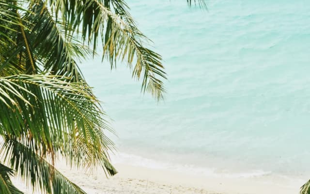 Beach Hotel Dhigurah - photo 5