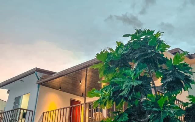 Fatims Beach House Maafushi Hotel - photo 4