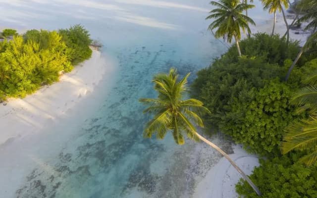 Rahaa Resort - photo 4