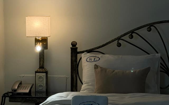 S&L Boutique Hotel - photo 3