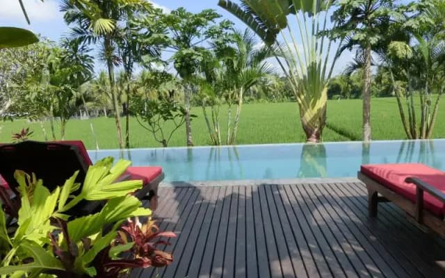 Bali Harmony Villa - photo 3