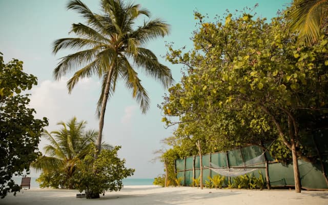 My House Maldives Guest House - photo 2