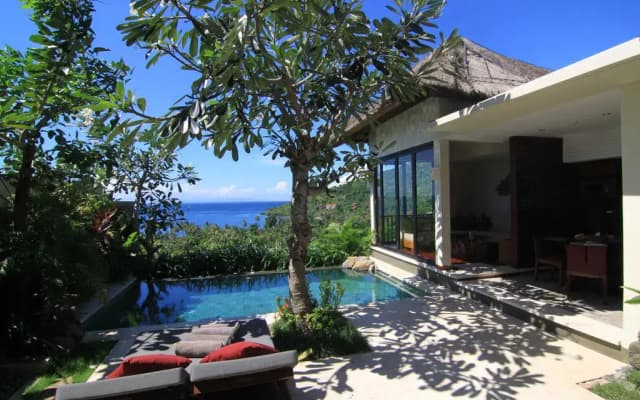 Bali Mangsi Villa - photo 4